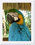 At_the _zoo (1) * 1536 x 2048 * (1.44MB)